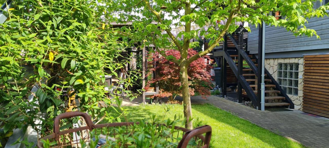 Ferienapartment MIA Fritzlar Buitenkant foto